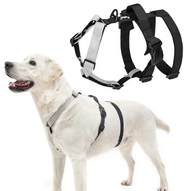 PUPTECK Escape Proof Dog Harness No Pull Soft Padded Full Body Pet Halter Harness with Lift Handle for Small Medium Large Doggies Walking Hiking Hunting SnowWhite Black M