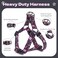 QQPETS Dog Harness Leash Set Adjustable Heavy Duty No Pull Halter Harnesses for Small Medium Large Breed Dogs Back Clip AntiTwist Perfect for Walking