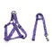 QQPETS Dog Harness Leash Set Adjustable Heavy Duty No Pull Halter Harnesses for Small Medium Large Breed Dogs Back Clip AntiTwist Perfect for Walking