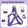QQPETS Dog Harness Leash Set Adjustable Heavy Duty No Pull Halter Harnesses for Small Medium Large Breed Dogs Back Clip AntiTwist Perfect for Walking