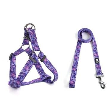 QQPETS Dog Harness Leash Set Adjustable Heavy Duty No Pull Halter Harnesses for Small Medium Large Breed Dogs Back Clip AntiTwist Perfect for Walking