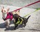 RC Pet Products Step in Cirque Soft Walking Dog Harness XXSmall Raspberry