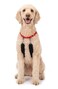 Sporn Original Dog Halter No Pull Dog Harness Durable Nylon Collar with Padded Restraint Sleeves for Large Breeds No Choke Design Adjustable Fit Easy OnOff Red Large