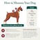Sporn Original Dog Halter No Pull Dog Harness Durable Nylon Collar with Padded Restraint Sleeves for Large Breeds No Choke Design Adjustable Fit Easy OnOff Red Large