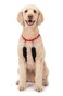Sporn Original Dog Halter No Pull Dog Harness Durable Nylon Collar with Padded Restraint Sleeves for Large Breeds No Choke Design Adjustable Fit Easy OnOff Red Large