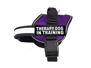 Doggie Stylz Therapy Dog in Training Nylon Dog Vest Harness Purchase Comes with 2 Reflective Therapy Dog in Training Removable Patches Please Measure Your Dog Before Ordering Girth 1925 Purple