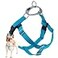 2 Hounds Design Freedom No Pull Dog Harness Adjustable Harness Easy Walking Comfortable Control Fits Small Medium Large Dogs Solid Colors Made in USA 1 LG Turquoise