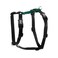 Blue-9 Blue9 BuckleNeck Balance Harness Fully Customizable Fit NoPull Harness Ideal for Dog Training and Obedience Made in The USA Hunter Green Large