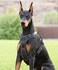 4Knines No Pull Dog Harness for Large Dogs Adjustable Reflective Harness with Front Back Leash Clips Durable Easy Control for Walks Training Black