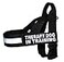 Doggie Stylz Therapy Dog in Training Nylon Harness No Pull Guide Assistance Comes with 2 Reflective Therapy Dog in Training Removable Reflective Patches Please Measure Your Dog Before Ordering