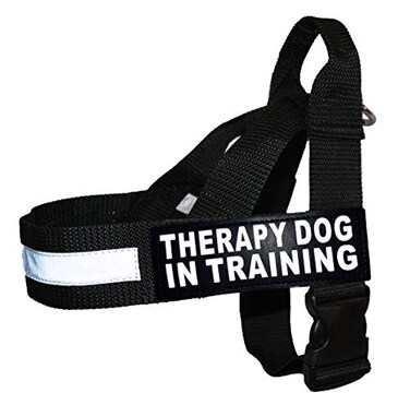 Doggie Stylz Therapy Dog in Training Nylon Harness No Pull Guide Assistance Comes with 2 Reflective Therapy Dog in Training Removable Reflective Patches Please Measure Your Dog Before Ordering
