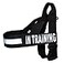 Doggie Stylz IN TRAINING Nylon Strap Service Dog Harness No Pull Guide Assistance comes with 2 reflective IN TRAINING removable patches Please measure your dog before ordering Medium Fits Girth 2229