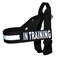 Doggie Stylz IN TRAINING Nylon Strap Service Dog Harness No Pull Guide Assistance comes with 2 reflective IN TRAINING removable patches Please measure your dog before ordering Medium Fits Girth 2229