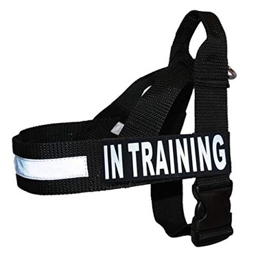 Doggie Stylz IN TRAINING Nylon Strap Service Dog Harness No Pull Guide Assistance comes with 2 reflective IN TRAINING removable patches Please measure your dog before ordering Medium Fits Girth 2229