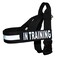 Doggie Stylz IN TRAINING Nylon Strap Service Dog Harness No Pull Guide Assistance comes with 2 reflective IN TRAINING removable patches Please measure your dog before ordering Medium Fits Girth 2229