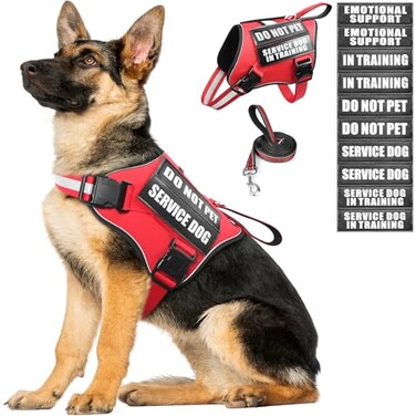 MOOGROU Service Dog Vest Harness and Leash Set10 PatchesNo PullAdjustable Reflective Dog Harness with Soft Padded Handle for TrainingEverydayFit SmallMediumLargeExtraLarge DogsRed XL