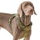 AUNZO Adjustable NoPull Reflective Soft Inescapable Dog Vest Harness for Big Dog Breeds Siberian Husky Labrador Golden Retriever Breathable Oxford Material Front Leash Clip Control L