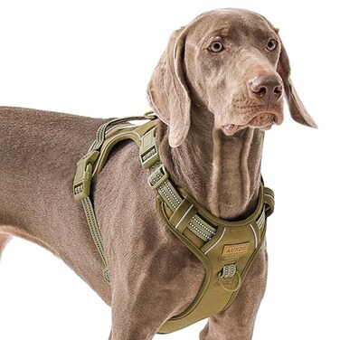 AUNZO Adjustable NoPull Reflective Soft Inescapable Dog Vest Harness for Big Dog Breeds Siberian Husky Labrador Golden Retriever Breathable Oxford Material Front Leash Clip Control L
