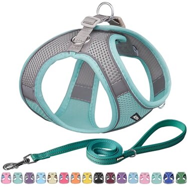 Aiitle AIITLE Comfortable Dog Harness and Leash Set for Walking Step in Vest HarnessReflective Bands Adjustable No Pull Puppy Essentials for Small Dogs and House Cats Turquoise XS
