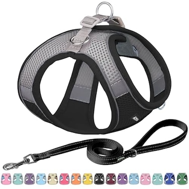 Aiitle AIITLE Easy Walk Dog Harness and Leash Set Pet Supply No Pull Step in Adjustable Dog Harness with Padded Vest Dog Harness No Choke Over Easy to Put on Medium Dogs Black L