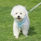 Aiitle AIITLE Easy Walk Dog Harness and Leash Set Pet Supply No Pull Step in Adjustable Dog Harness with Padded Vest Dog Harness No Choke Over Easy to Put on Medium Dogs Blue L