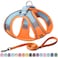 Aiitle AIITLE Easy Walk Dog Harness and Leash Set Pet Supply No Pull Step in Adjustable Dog Harness with Padded Vest Dog Harness No Choke Over Easy to Put on Medium Dogs Orange L