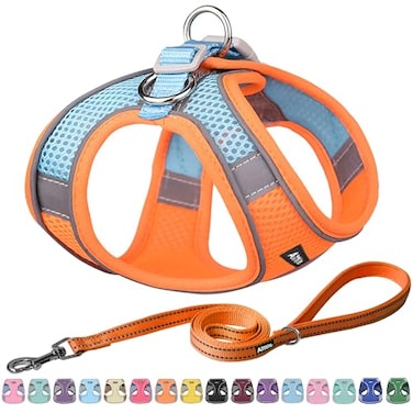 Aiitle AIITLE Easy Walk Dog Harness and Leash Set Pet Supply No Pull Step in Adjustable Dog Harness with Padded Vest Dog Harness No Choke Over Easy to Put on Medium Dogs Orange L