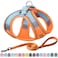Aiitle AIITLE Easy Walk Dog Harness and Leash Set Pet Supply No Pull Step in Adjustable Dog Harness with Padded Vest Dog Harness No Choke Over Easy to Put on Medium Dogs Orange L
