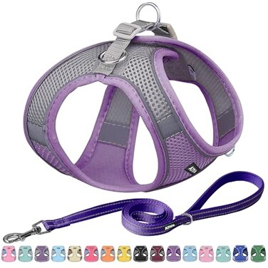 Aiitle AIITLE Easy Walk Dog Harness and Leash Set Pet Supply No Pull Step in Adjustable Dog Harness with Padded Vest Dog Harness No Choke Over Easy to Put on Medium Dogs Purple L