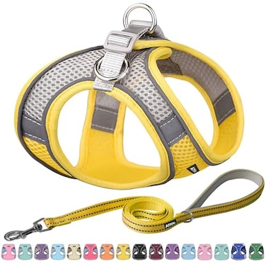 Aiitle AIITLE Easy Walk Dog Harness and Leash Set Pet Supply No Pull Step in Adjustable Dog Harness with Padded Vest Dog Harness No Choke Over Easy to Put on Medium Dogs Yellow L