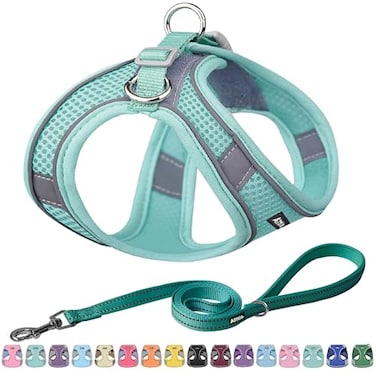 Aiitle AIITLE Escape Proof Dog Harness Step in Adjustable Dog Harness No Choke Over with Breathable Mesh and QuickRelease Buckle Outdoor Walking Training for Medium Dogs Pure Turquoise XL