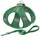 Aiitle AIITLE Escape Proof Dog Harness Step in Adjustable Dog Harness No Choke Over with Breathable Mesh and QuickRelease Buckle for All Weather Outdoor Walking Training for Medium Dogs Green XL