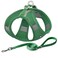 Aiitle AIITLE Escape Proof Dog Harness Step in Adjustable Dog Harness No Choke Over with Breathable Mesh and QuickRelease Buckle for All Weather Outdoor Walking Training for Medium Dogs Green XL