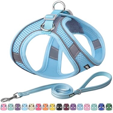 Aiitle AIITLE Escape Proof Dog Harness Step in Adjustable Dog Harness No Choke Over with Breathable Mesh and QuickRelease Buckle for All Weather Outdoor Walking Training for Medium Dogs Pure Blue XL