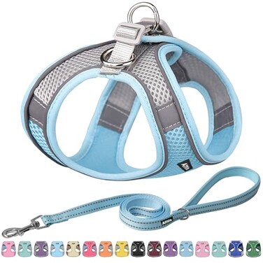 Aiitle AIITLE No Pull Dog Harness and Leash Set Step in Adjustable Dog Harness with Padded Vest for All Weather Dog Leash with Soft Padded Handle Easy to Put on Small and Medium Dogs Blue S