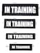 ALBCORP Albcorp Reflective In Training Patches with Hook Backing for Service Animal Vests Harnesses Medium 5 X 15 Inch