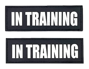 ALBCORP Albcorp Reflective In Training Patches with Hook Backing for Service Animal Vests Harnesses Medium 5 X 15 Inch