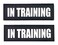 ALBCORP Albcorp Reflective In Training Patches with Hook Backing for Service Animal Vests Harnesses Medium 5 X 15 Inch