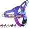 Annchwool No Pull Dog Harness with Soft Padded HandleEscape Proof and Quick Fit to Adjust Dog HarnessEasy for Training Walking for Small Medium and Large DogsCamo PurpleS