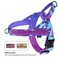 Annchwool No Pull Dog Harness with Soft Padded HandleEscape Proof and Quick Fit to Adjust Dog HarnessEasy for Training Walking for Small Medium and Large DogsCamo PurpleS