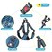 BAAPET Breathable Dog Harness for Small Puppy Medium Dogs Stepin and Air Mesh with 6 Feet Reflective Rope Dog Leash L 6 FT x Chest 2025 Blue