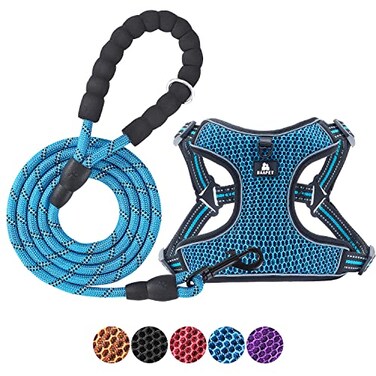 BAAPET Breathable Dog Harness for Small Puppy Medium Dogs Stepin and Air Mesh with 6 Feet Reflective Rope Dog Leash L 6 FT x Chest 2025 Blue