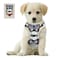 Bark Lover Small Puppy Harness with Bowtie Adjustable Dog Vest Mesh Tuxedo Harness for Small Dog Kitten Perfect for Party Wedding Holiday M Blue Plaid