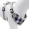 Bark Lover Small Puppy Harness with Bowtie Adjustable Dog Vest Mesh Tuxedo Harness for Small Dog Kitten Perfect for Party Wedding Holiday M Blue Plaid
