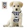 Bark Lover Small Puppy Harness with Bowtie Adjustable Dog Vest Mesh Tuxedo Harness for Small Dog Kitten Perfect for Party Wedding Holiday M Blue Plaid