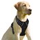 BARKBAY No Pull Dog Harness Front Clip Heavy Duty Reflective Easy Control Handle for Large Dog WalkingPinkS