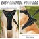 BARKBAY No Pull Dog Harness Front Clip Heavy Duty Reflective Easy Control Handle for Large Dog WalkingPinkS