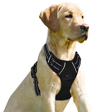 BARKBAY No Pull Dog Harness Front Clip Heavy Duty Reflective Easy Control Handle for Large Dog WalkingPinkS