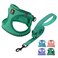 BELLA & BELLA PAL Step in Vest Harness for Small and Medium Dogs No Pull Small Dog Harness with Leash Set Comfortable Air Mesh Dog Vest Harness with Reflective Strip Emerald M