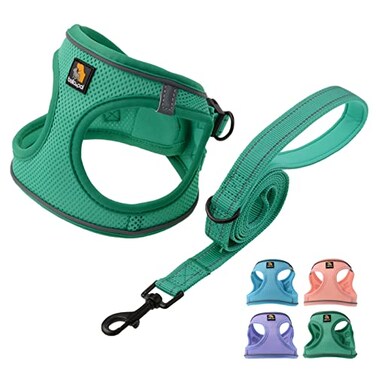BELLA & BELLA PAL Step in Vest Harness for Small and Medium Dogs No Pull Small Dog Harness with Leash Set Comfortable Air Mesh Dog Vest Harness with Reflective Strip Emerald M